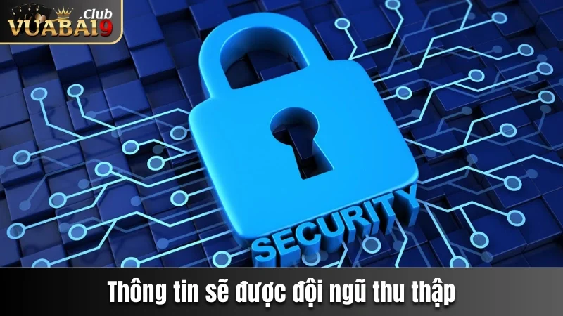 Chính Sách Bảo Mật Vuabai9 - Cam Kết An Toàn Khi Cá Cược 3 Nguồn thông tin sẽ được đội ngũ thu thập