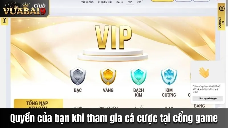 Tìm Hiểu Về Điều Khoản & Điều Kiện Của Cổng Game Vuabai9 3 Quyền của người chơi khi tham gia cá cược tại cổng game